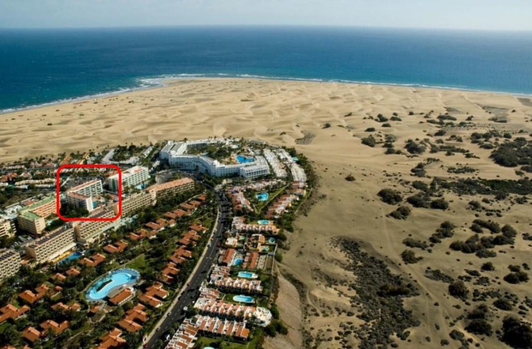 Apartment Palm Trees View Of The Dunes ปลายา เดล อิงเกลส ภายนอก รูปภาพ
